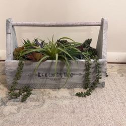 Vintage Toolbox & succulents 