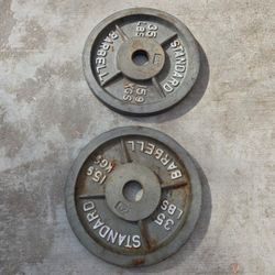 Two 35 pound weight plates 