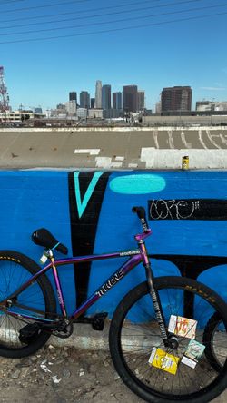 Throne 29er
