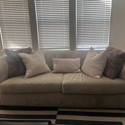 Two Beige Couches 