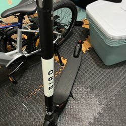 Bird E-scooter Great Condition 
