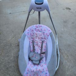 Ingenuity Baby Girl Swing