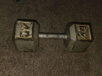 40 lbs dumbbells