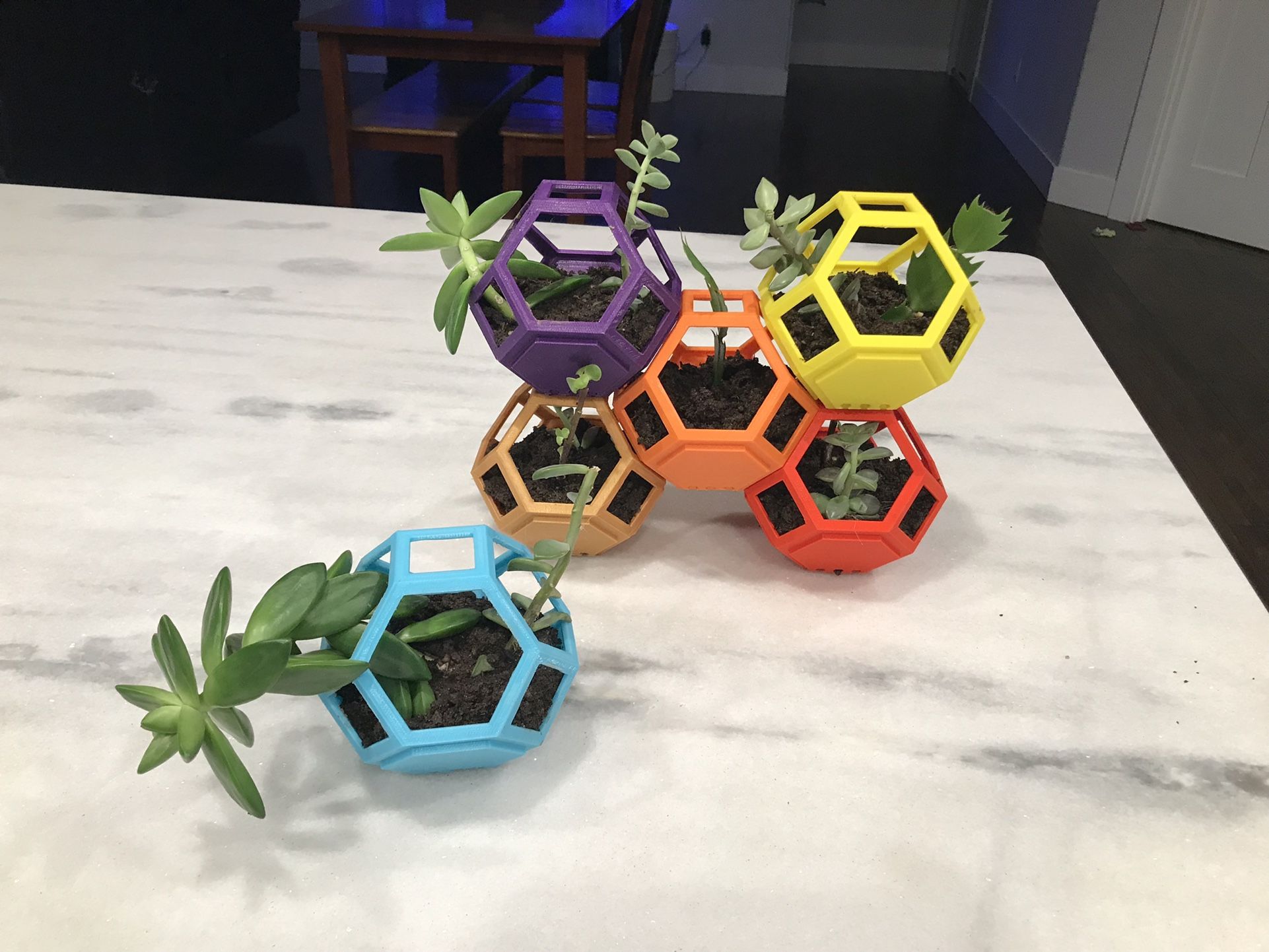 Plantygons With Succulents