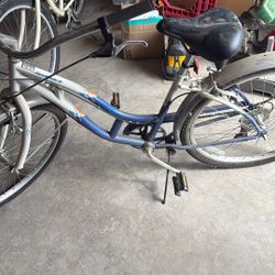 Beach Cruiser 