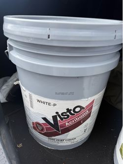 White-P Vista Acribond Paint