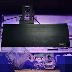 5 Gallon Aquarium Combo $45