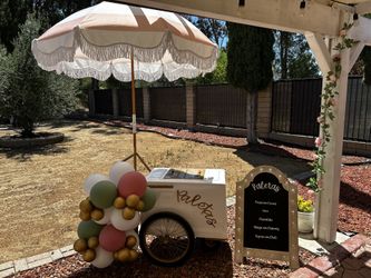 Paleta Cart