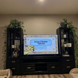 TV Console And Towers 