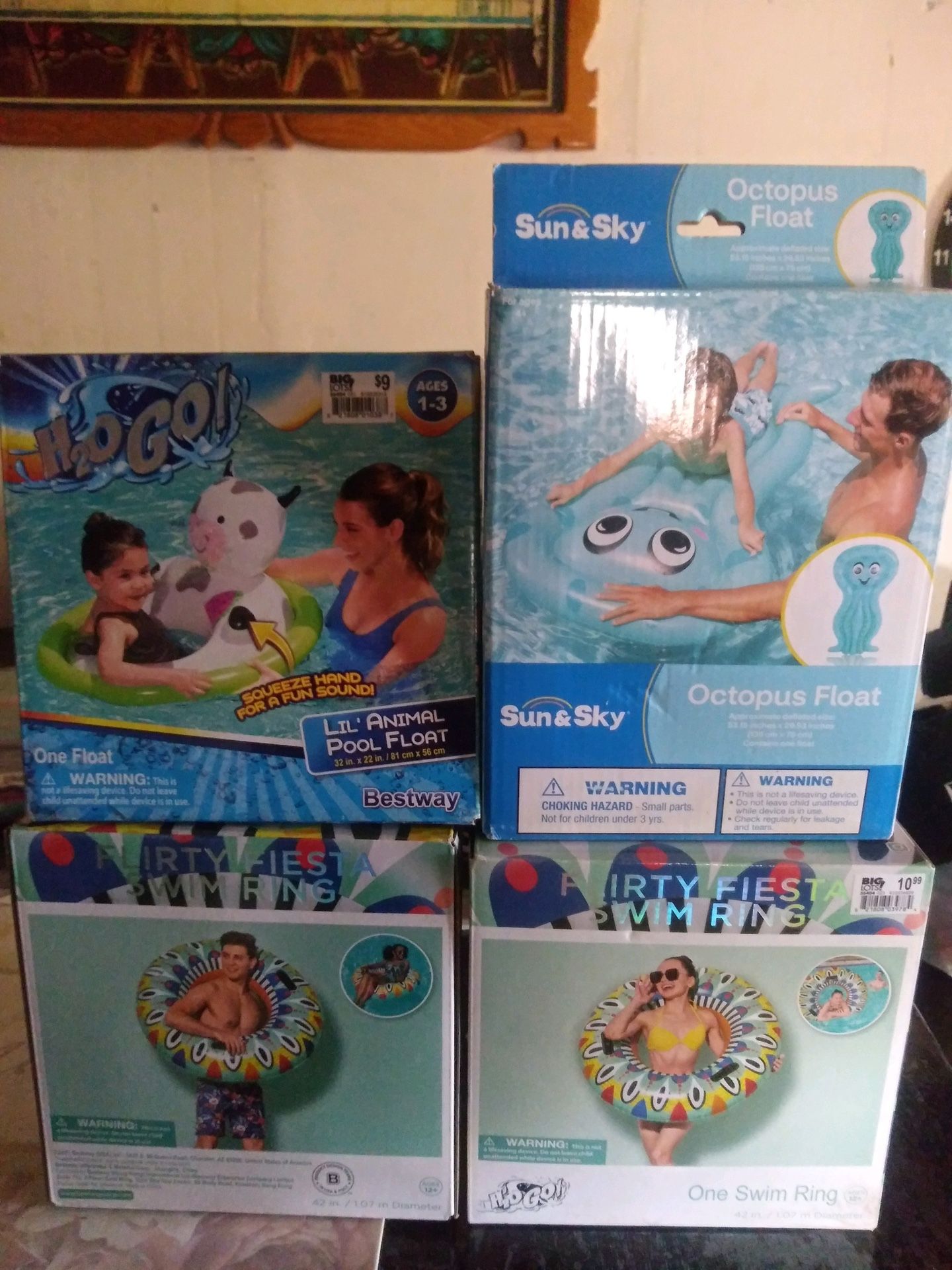 Pool Floats