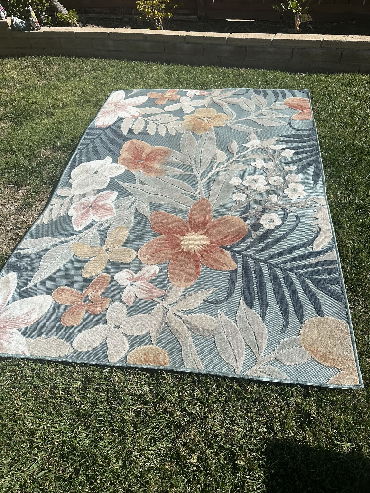 Two Outdoor Rugs
