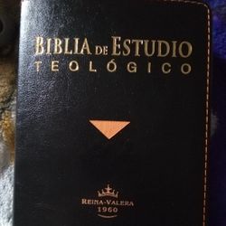 Biblia De eStudio Teologico
