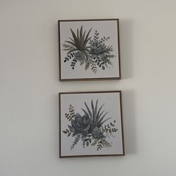 Plant Decor