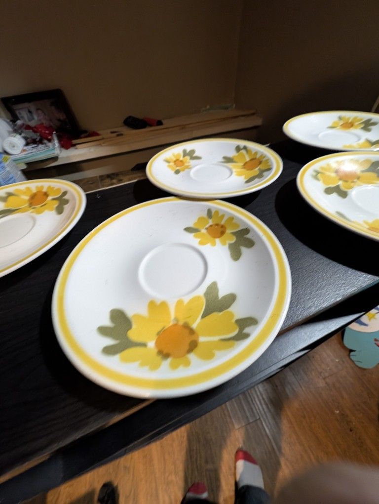 Mikasa Cera Stone Flora Pattern From The 70s 5pc 6in Saucer Set