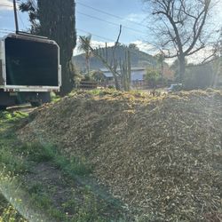free woodchips delivered