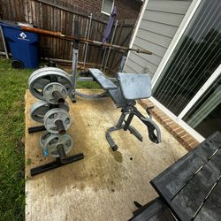 Bench & 8 Tree (weights Included)