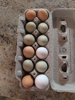 Large White, Brown Farm Fresh Eggs