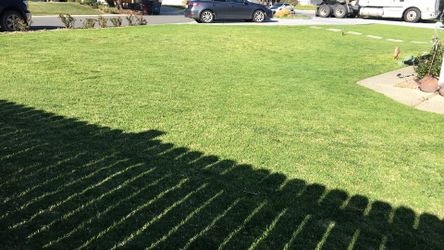 Maintenance Sprynkler Sistem 