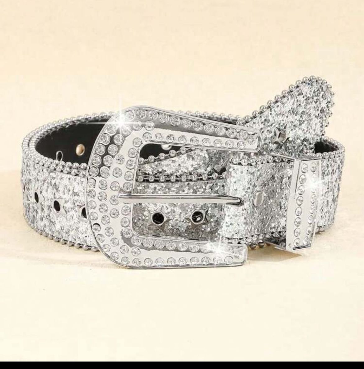 Shiny Silver Belt