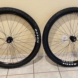 WTB Tubeless Ready 29” Mountain Bike Wheels 