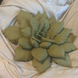 Handmade Succulent Decorative Pillows 
