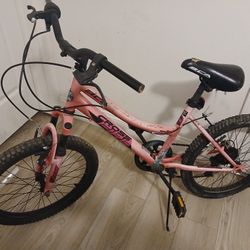 Bike 20in