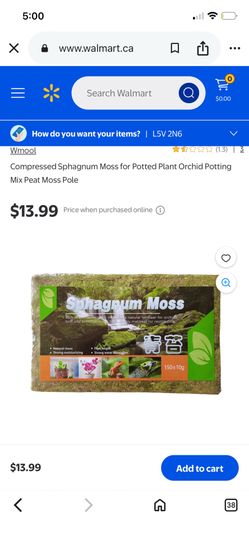 Live moss
