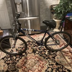 Schwinn Sidewinder 21 speed mountain bike
