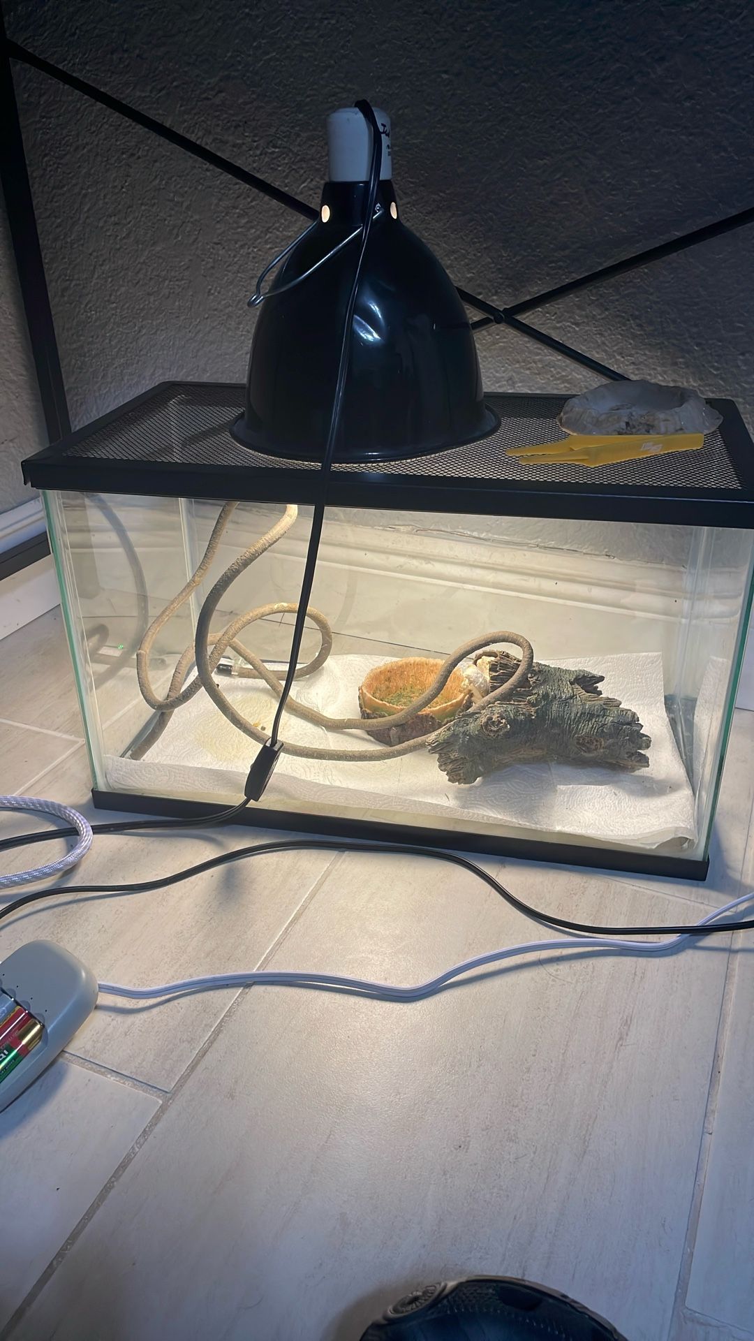 Lizard Tank Or Fish Tank