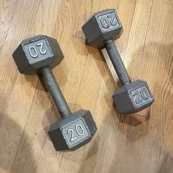 20 Lbs Dumbbells 