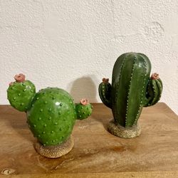 🌵 2 For $30. 