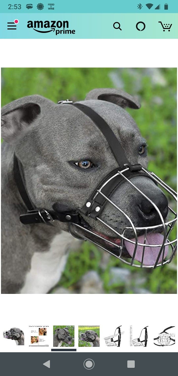 Dog muzzle