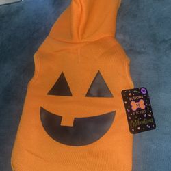 Pumpkin dog Costume 