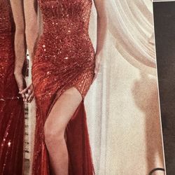 Party Dress Brand New  Late Delivery 