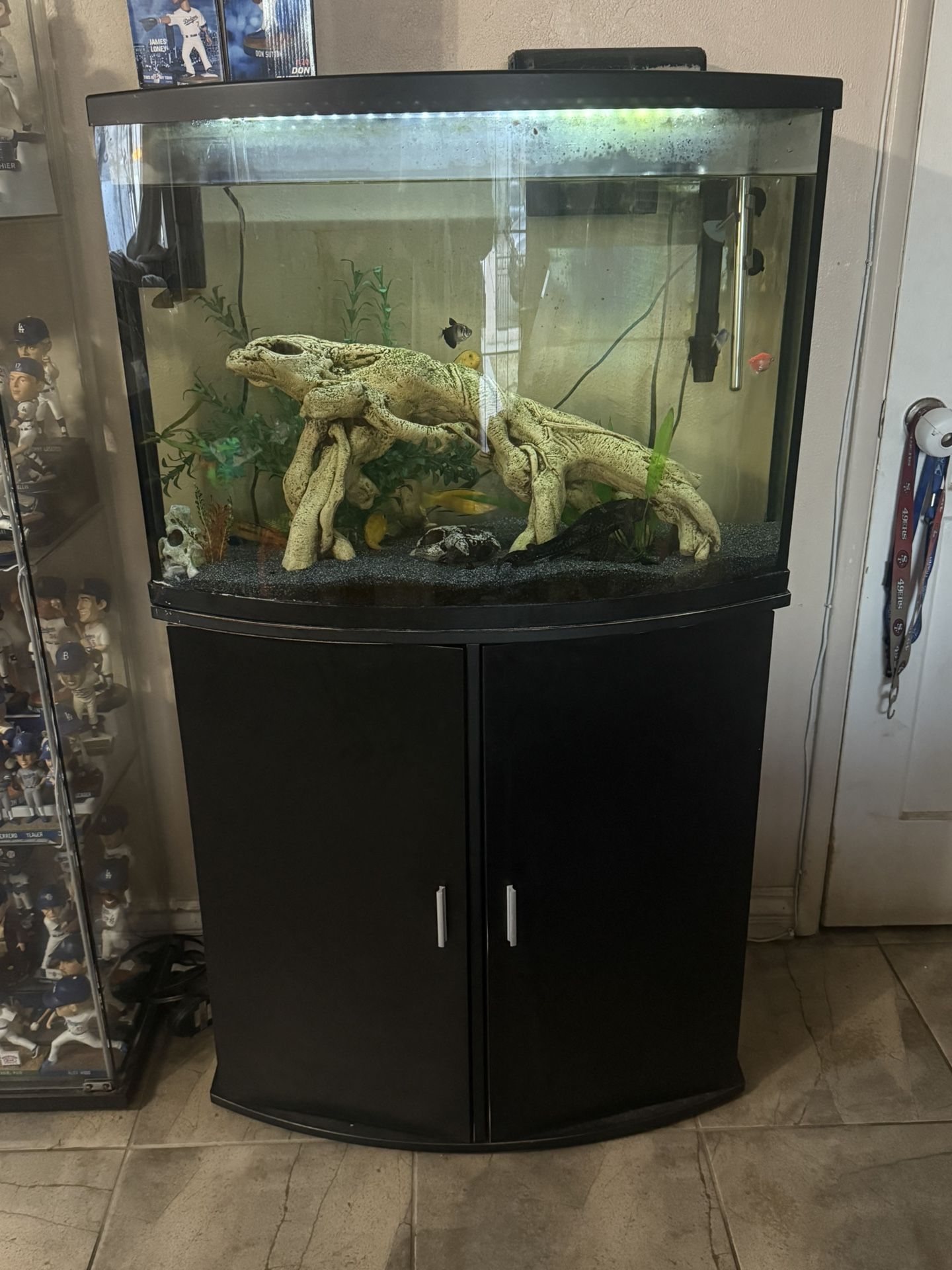 Aquarium