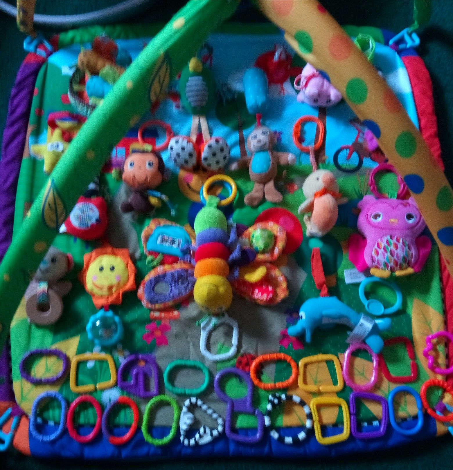 Baby Einstein Caterpillar Gym & infant/teething toys