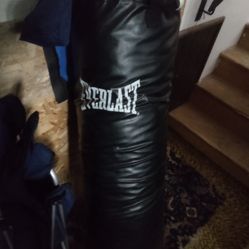 Everlast 109lb Nevatear Boxing Heavy Bag