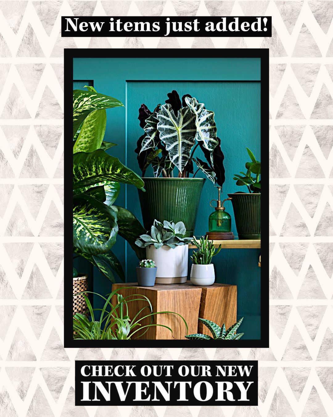 Plant Sale
