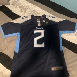 Julio Jones On Field Jersey Authentic (Tennessee Titans)