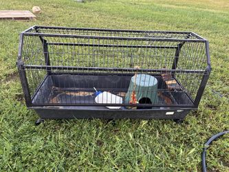 Guinea pig cage