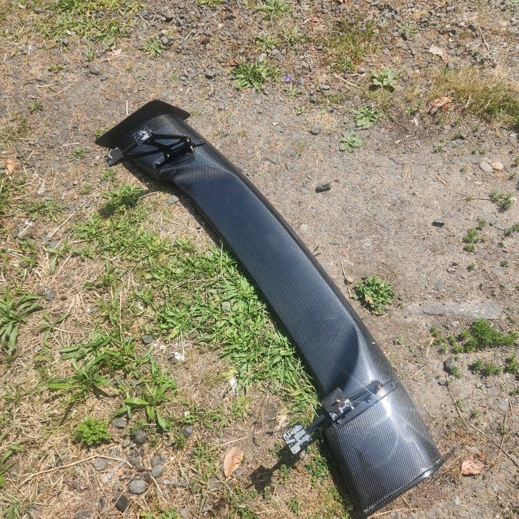 Carbon Fiber Wing