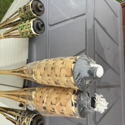 Torch Lights 