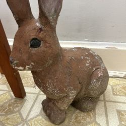 Cement Outside Bunny 