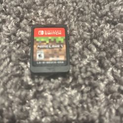 Minecraft For The Switch 