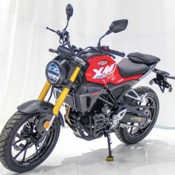 🔥 NEW XM1 250cc STREET BIKE 🔥