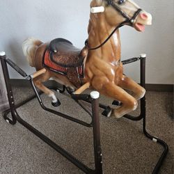 Ranger Wonder Horse
