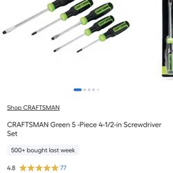 CRAFTSMAN Green 5 -Piece 4-1/2-in Screwdriver set