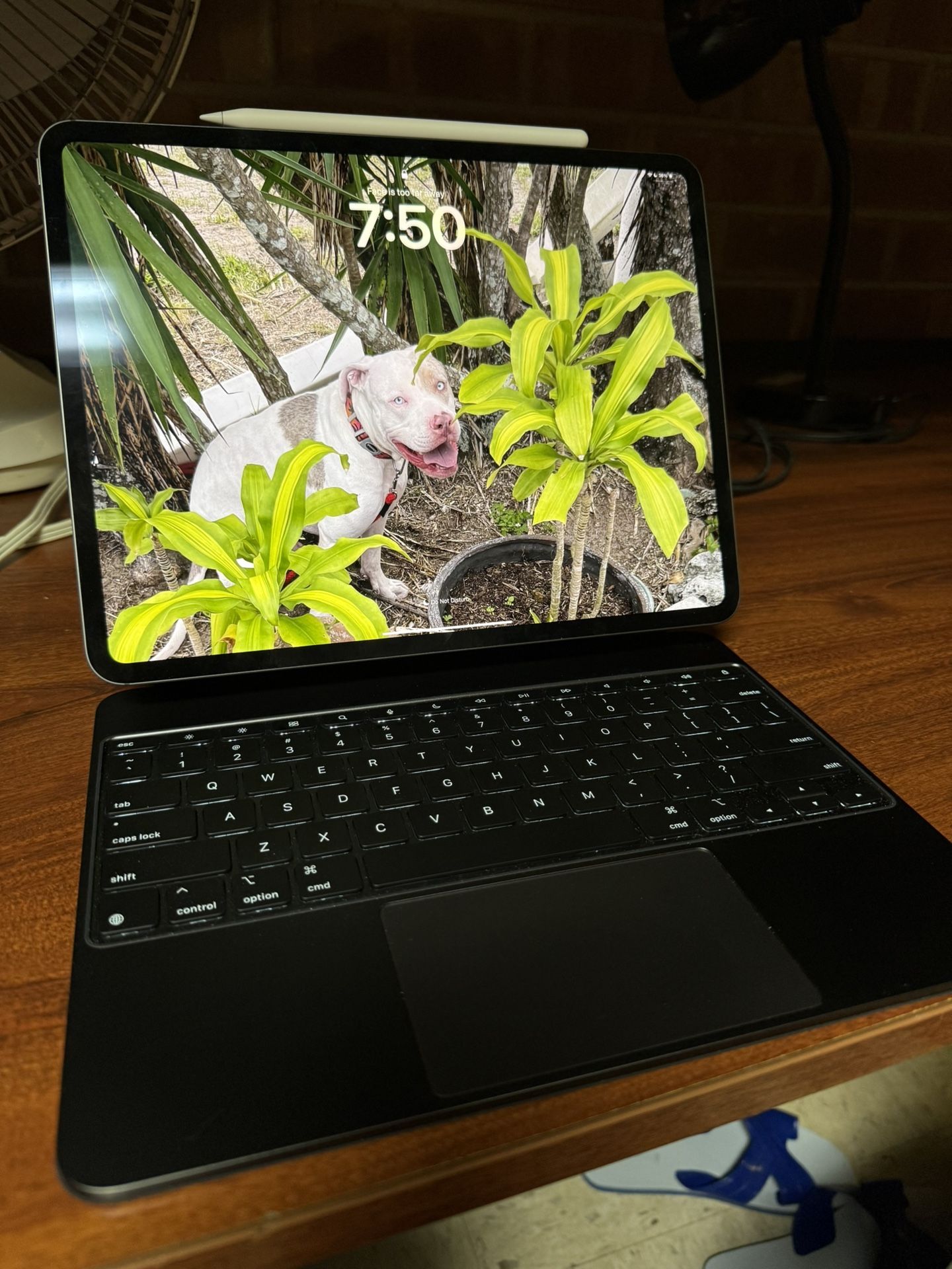 Apple iPad Pro 13 Inch 7th Gen M4 With Magic Keyboard, Apple Pencil, Apple Care, And Boxes