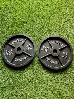 Workout Weight Plates 45LB Pair