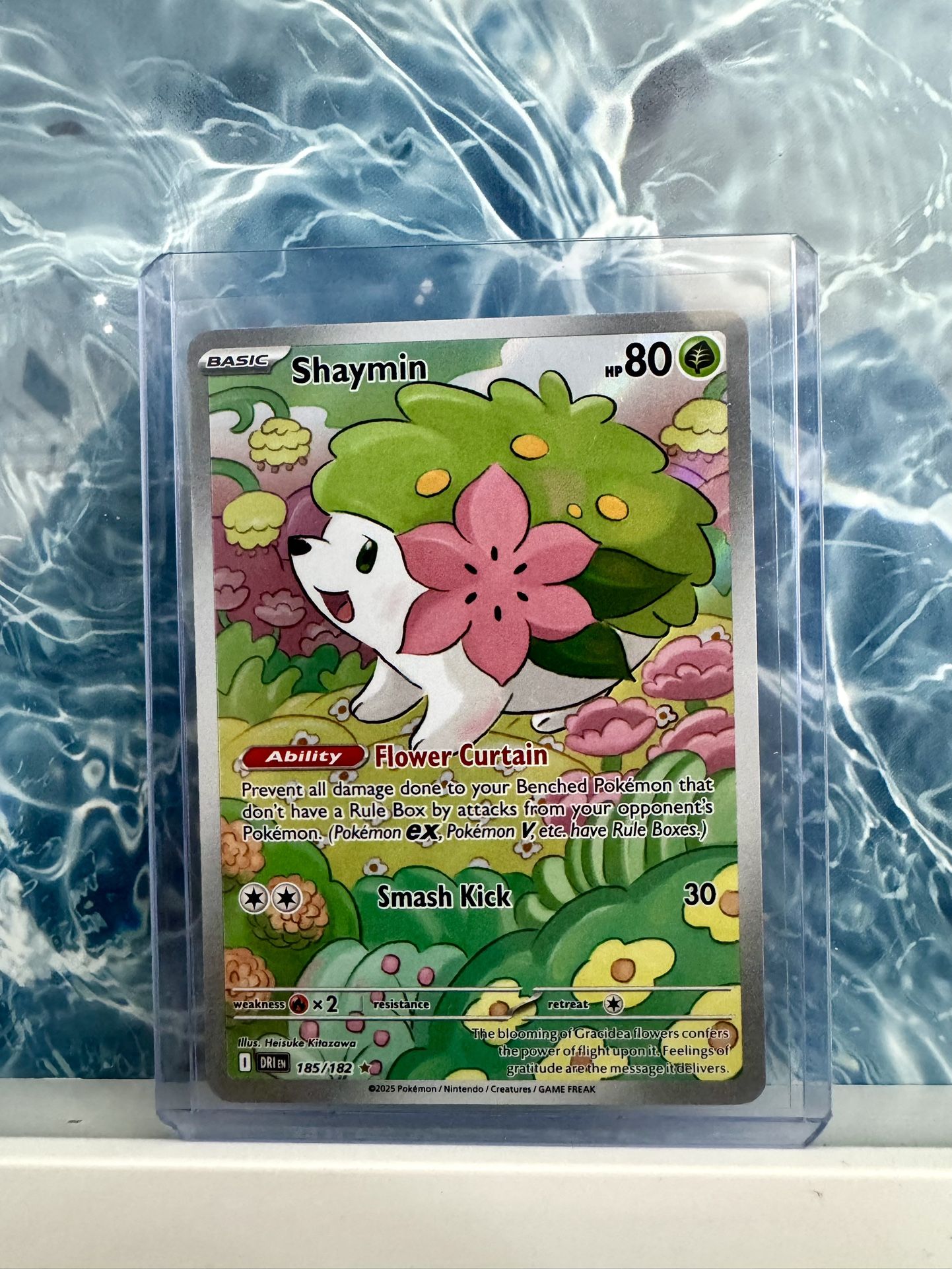 Shaymin Pokemon Cards